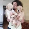danielaferrero499 - @danielaferrero499 - TikTok