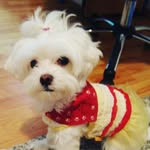 Daniela Filimon Bucur - @bucur.daniela.140 - Instagram