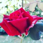 Daniela - @daniela.forani - Instagram