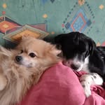 Daniela Forster - @forsterluna28 - Instagram