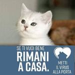 Daniela Forte - @daniela.forte.uw44 - Instagram