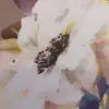 Daniela Franklin - @danielanoel10 - TikTok