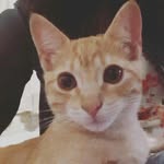 Daniela Fuenmayor - @dvfm_1 - Instagram
