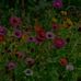 Daniela Gerardo - Facebook