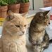 Daniela Ghiselli - Facebook