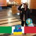 Daniela Ghiselli - Facebook