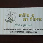 Mille un fiore 💐Daniela - @daniela.grimaldi.74 - Instagram