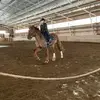 panula - @danielan.heppailut - TikTok