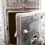 Daniela M Holmes - @mountainmammafarm - Instagram