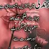 DaniyalKhan0123 - @danielakhan0123 - TikTok