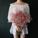 Daniela Kwon - @kwon.danie - Instagram
