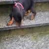 daniela_landolfi - @daniela_landolfi - TikTok