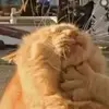 Soy daniela - @danielalerma60 - TikTok