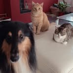 Daniela Li - Facebook