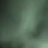 Daniela link - @daniela.link - TikTok