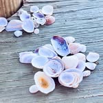 Daniela Mazzone - @avalon332 - Instagram