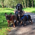Daniela Meyer - @doggekeres - Instagram