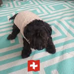 Daniela Meyer - @daniela.meyer.3979489 - Instagram