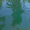 Daniela Osorio - @danielaosorio5264 - TikTok