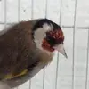 Daniela perri - @daniela.perri3 - TikTok