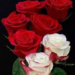 Daniela Popa - Facebook
