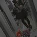 Daniela Terrazas - Facebook