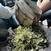 Daniela Valenzuela - @daniela.valenzuel74 - TikTok