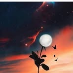 Daniela Varela - Facebook