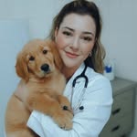 Daniela Vicente l Médica Veterinária - @danielavicente.vet - Instagram