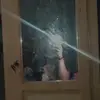 ️ - @danielaviveros34 - TikTok