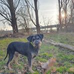 Daniela Wolf - Facebook