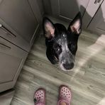 Danielle Ackermann - Facebook
