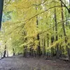 Sushil_Kumar - @danielle.aldrich - TikTok