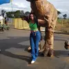 Danielle Amorim👌 - @dannycarrascoo - TikTok