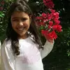 Danielle Amorim - @danielleamorim - TikTok