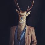 Daniele Antico - @tikitovenaar - Instagram