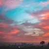 Danielle Arce - @daniandjr - TikTok