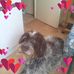 Daniėle Arnaud - Facebook