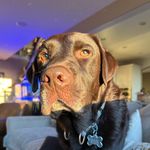 Danielle Arnett - @darnett17 - Instagram