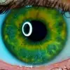 danielleashman005 - @danielle.ashman - TikTok