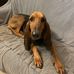 Danielle Alibert - Facebook