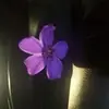 Danielle - @danielleaugusta76 - TikTok