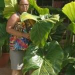 Danielle Augustin Laventure - @augustinlaventure - Instagram