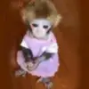 axl - @axel.danielle - TikTok
