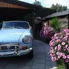 Danielle Ayotte - @user930842741 - TikTok