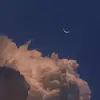danielleayoubbbb - @danielleayoubbbb - TikTok