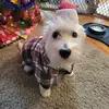 Danielle Ayres - @danielle.ayres45 - TikTok