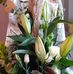 Danielle Baer - Facebook