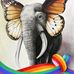 Danielle Lampman-Baker - Facebook