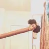 Danielle Ballantyne - @danielleballanty - TikTok